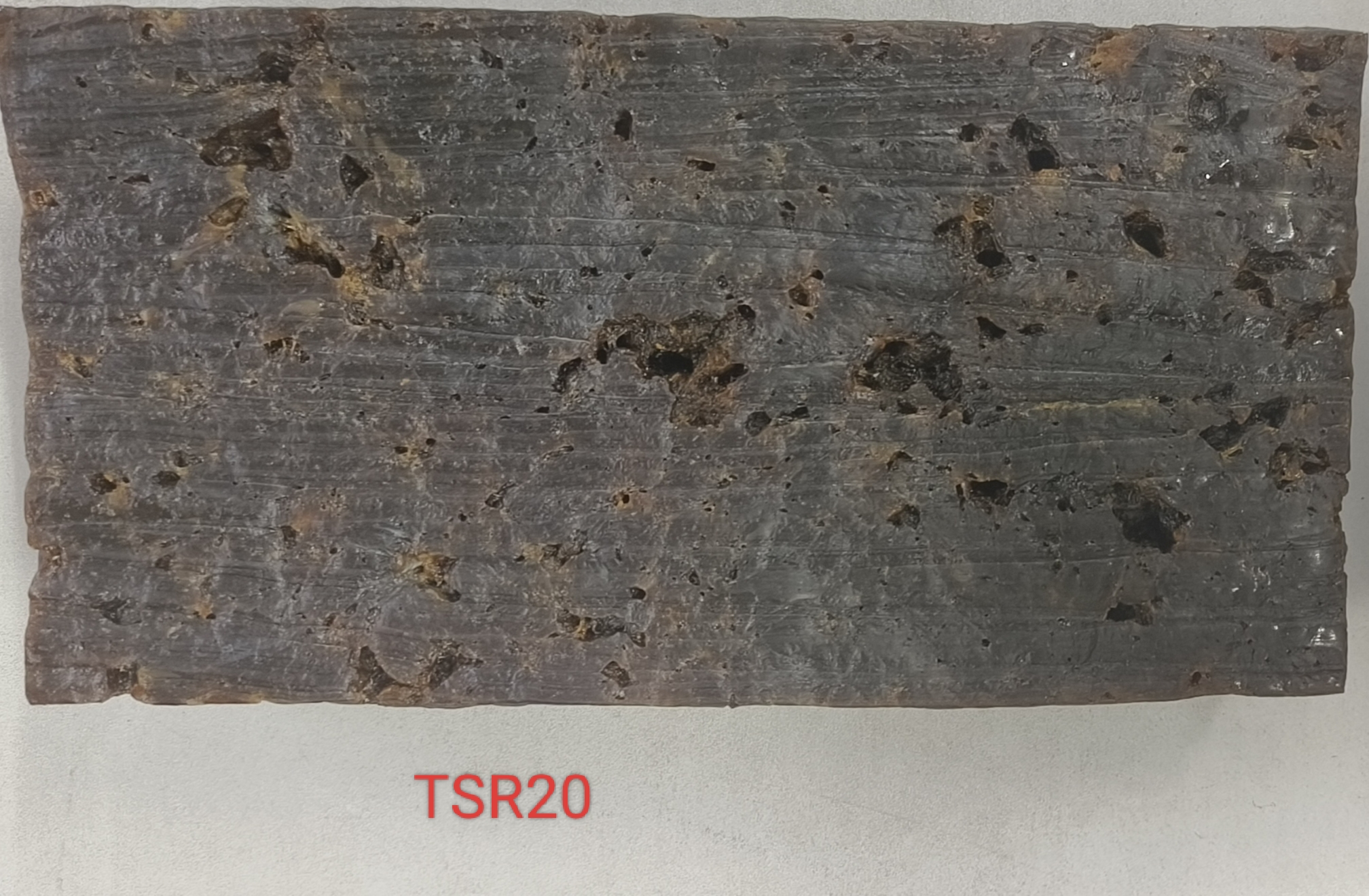 ���Ϻ�ʢTSR20