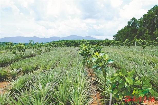 ������ʱ��(�й���)�������ǲ�!