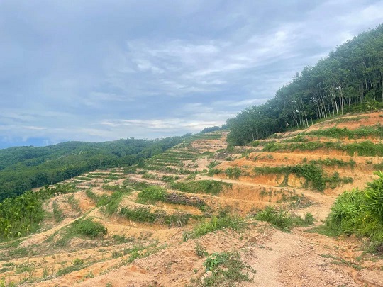 ������ʱ��(�й���)�������ǲ�!