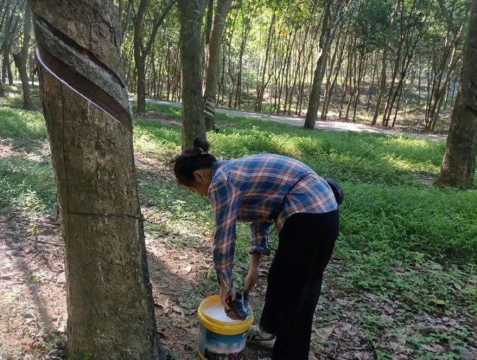 ������ʱ��(�й���)�������ǲ�!