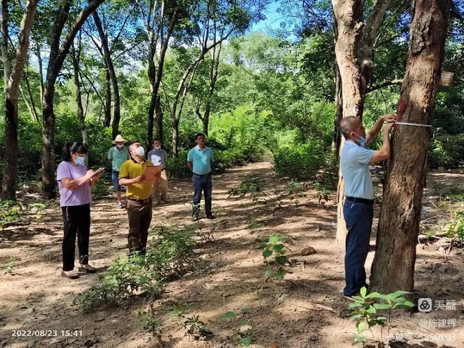 ×ðÁú¿Ê±¡¤(ÖйúÇø)ÈËÉú¾ÍÊDz«!