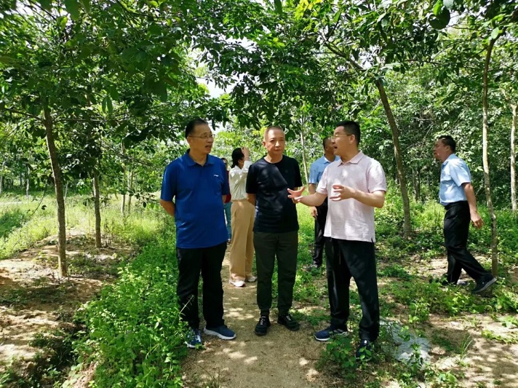 ������ʱ��(�й���)�������ǲ�!