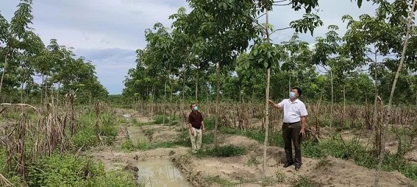 ������ʱ��(�й���)�������ǲ�!