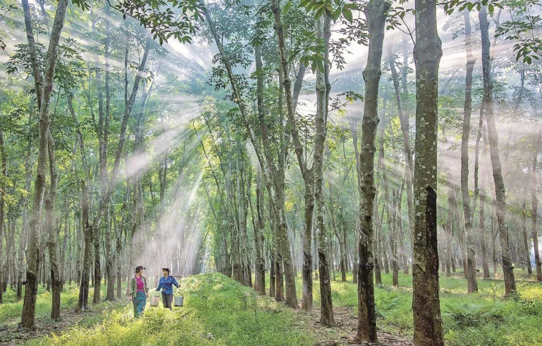 ������ʱ��(�й���)�������ǲ�!