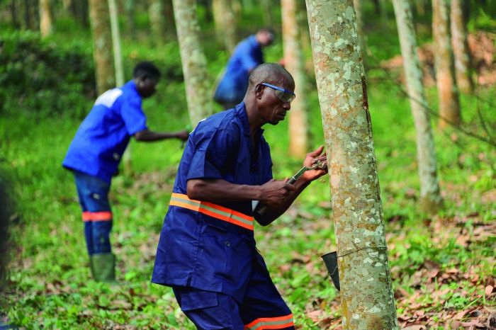 ×ðÁú¿Ê±¡¤(ÖйúÇø)ÈËÉú¾ÍÊDz«!